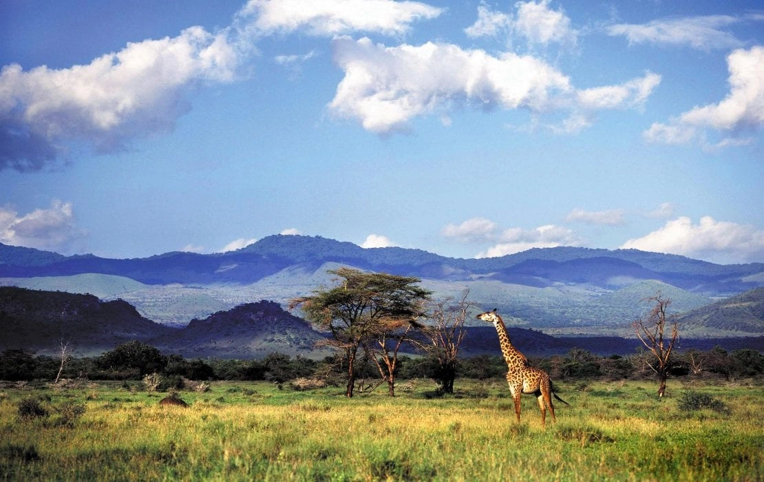 Chyulu Hills National Park