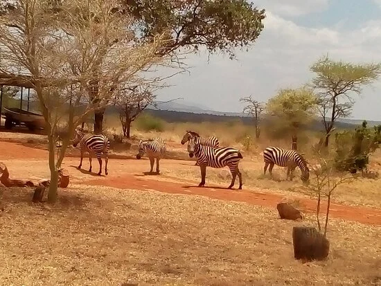 Mwea National Reserve