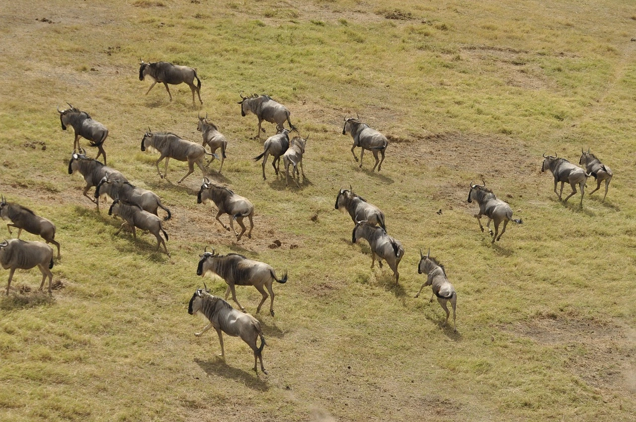 A scenic view from the Kenya Destinations collection