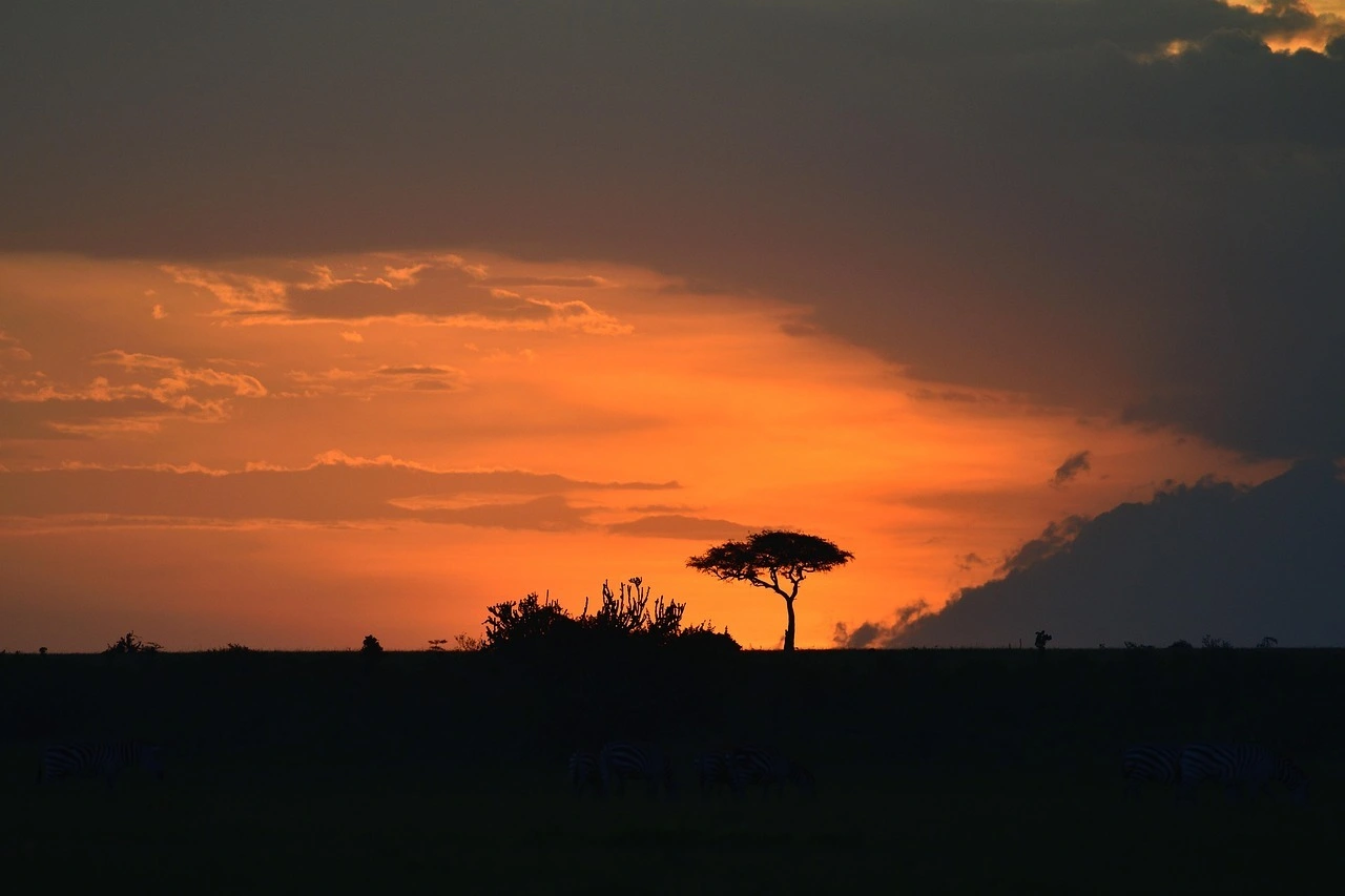 Wildlife sighting at Masaimara National Reserve imgi 121 masai mara 7235519 1280