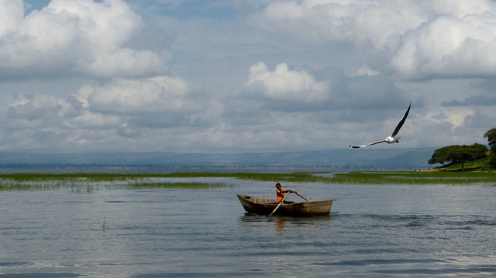 Lake Naivasha experience imgi 516 pexels photo 8442942