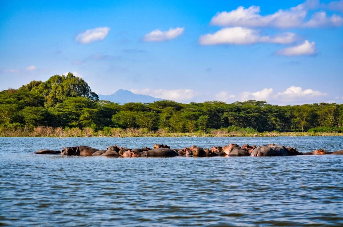 Lake Naivasha