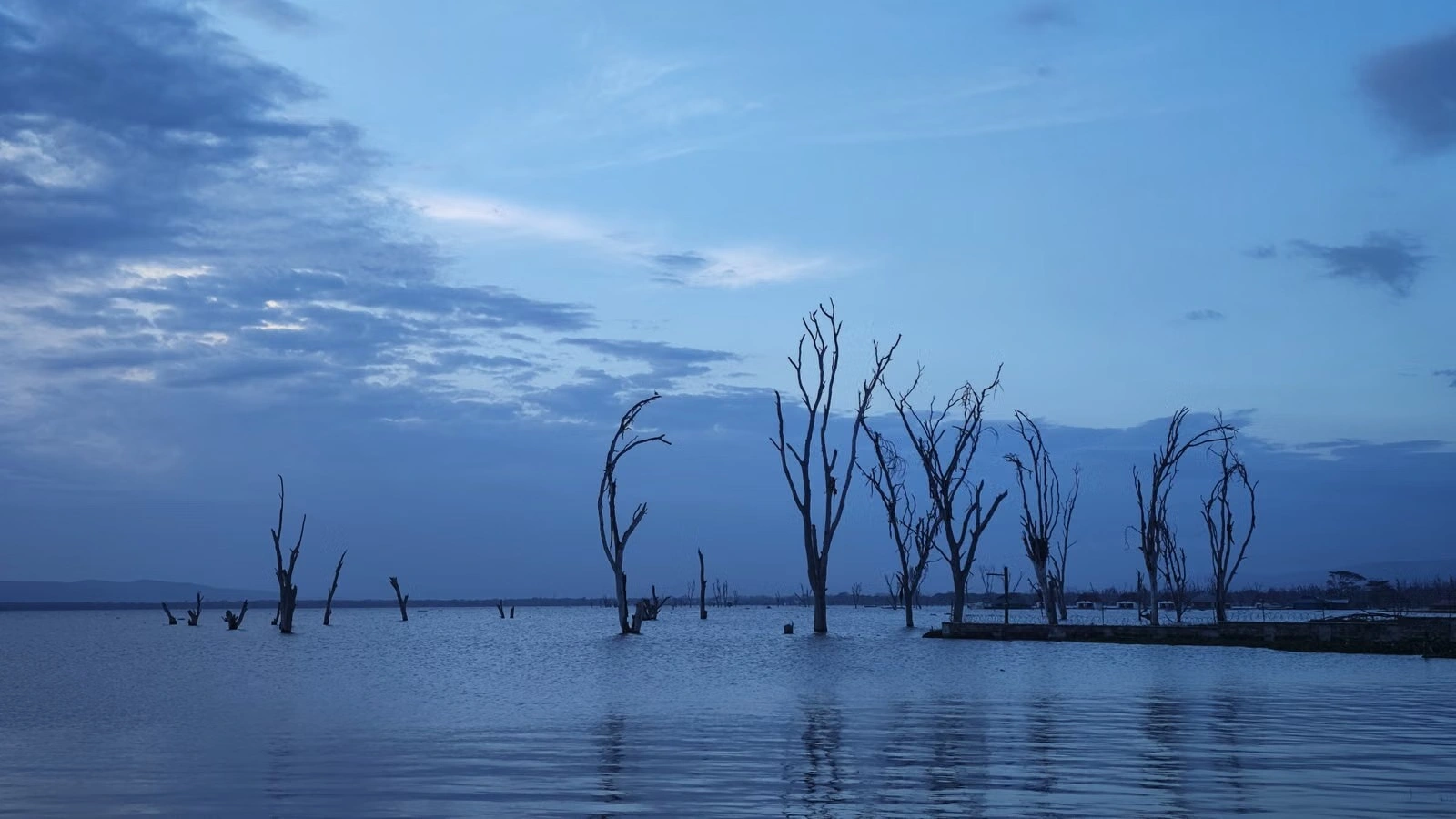 Lake Naivasha experience imgi 381 free photo of tranquil lake at twilight with bare trees