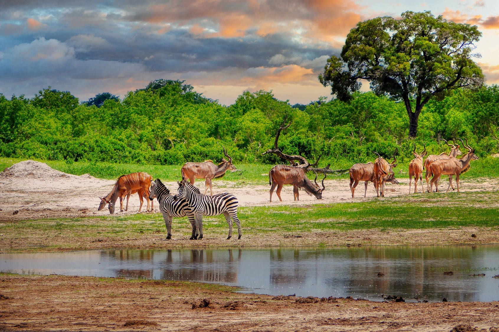 wildlife spotting at Bisanadi National Reserve imgi 180 antelope hartebeest