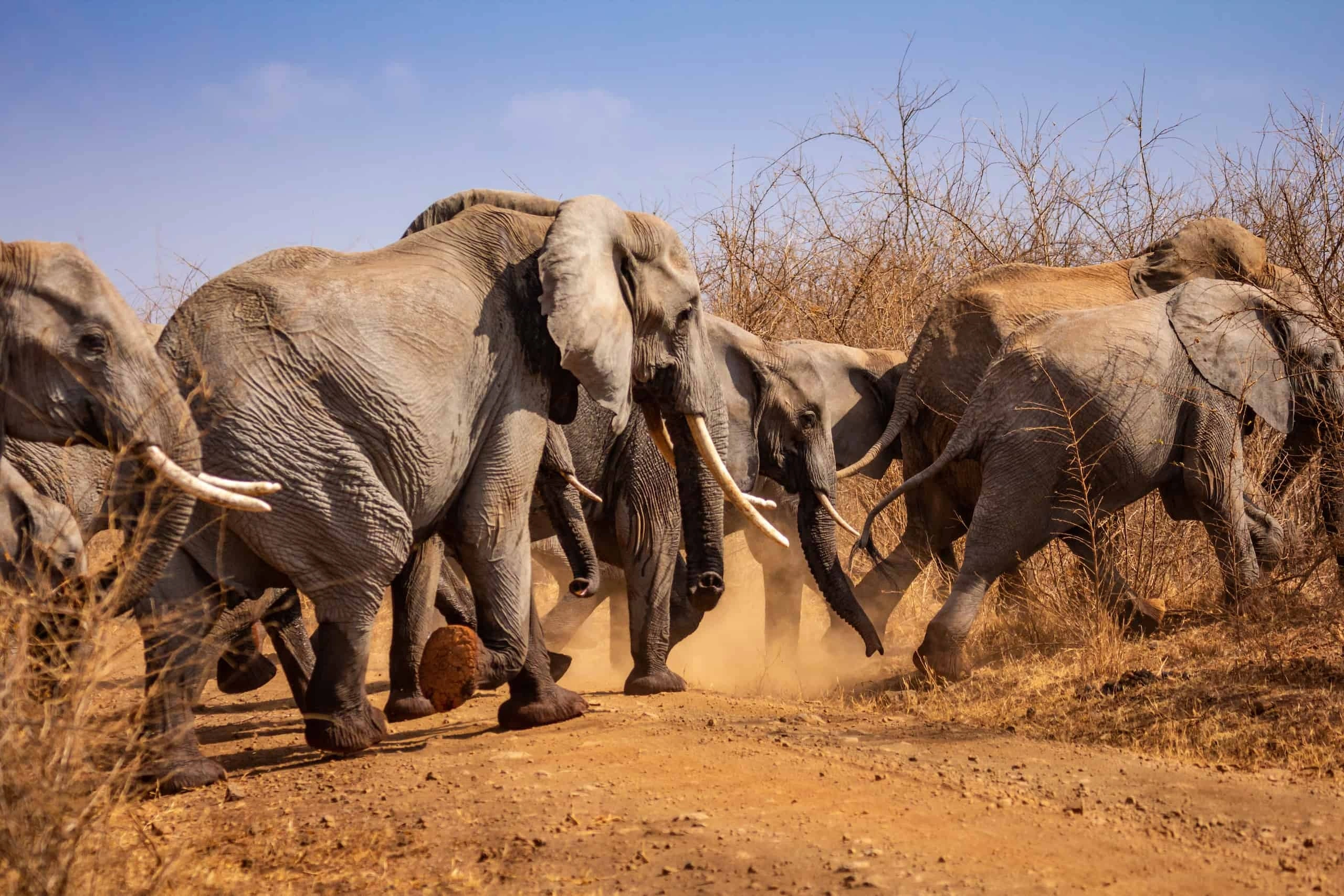 A scenic view from the Safari Destinations in East Africa collection
