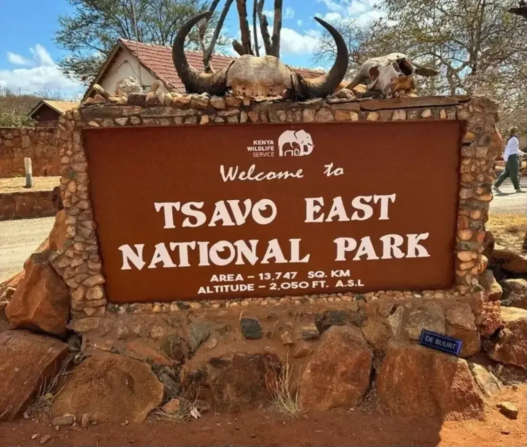 Wildlife sighting at Tsavo East National Park imgi 202 1767101924 hero
